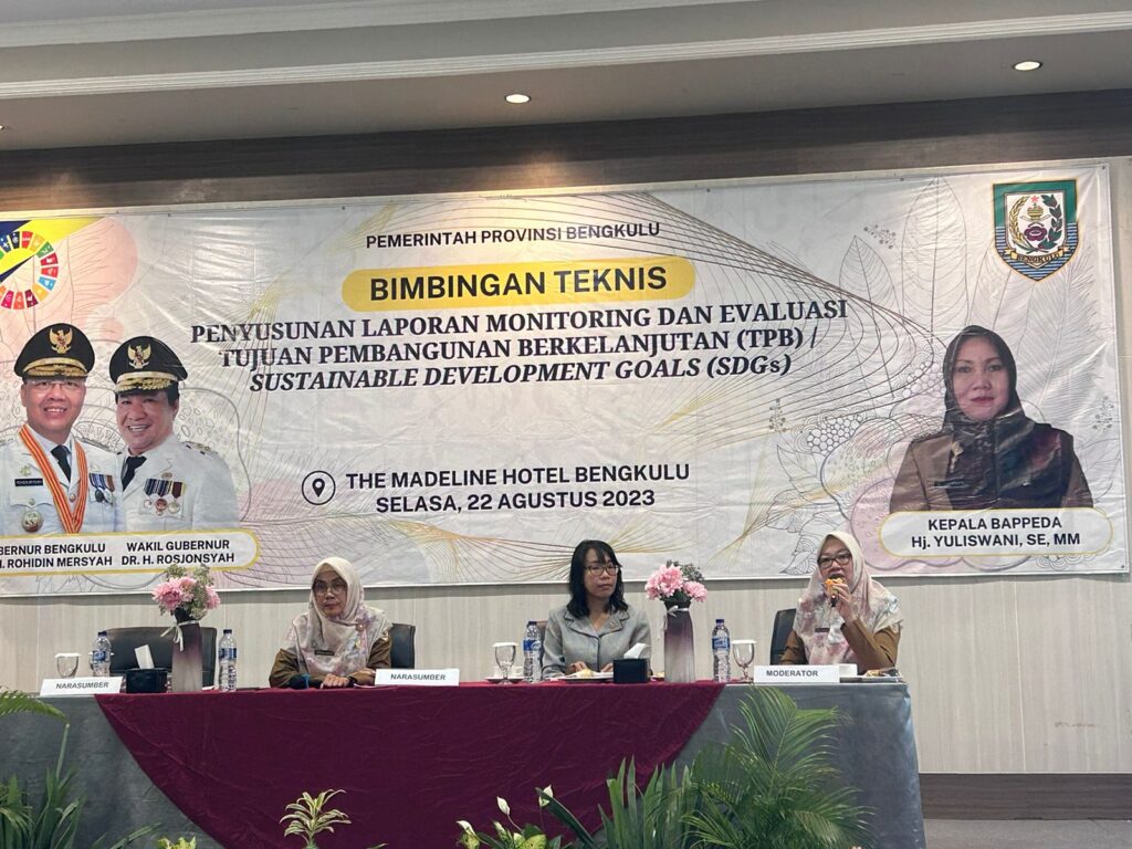 Sekretariat Nasional SDGs Berikan Bimbingan Teknis Penyusunan Laporan ...